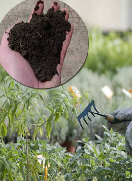Pulverized & Screened Topsoil or Garden Mix